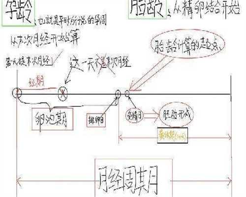 广州三代试管攻略：卵巢多囊泡怀孕危险吗？避坑指南